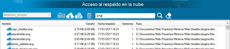 busqueda archivos Minerva Cloud Backup